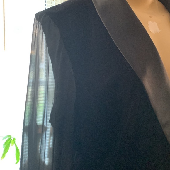 Velveteen Sheer top - Picture 2 of 4